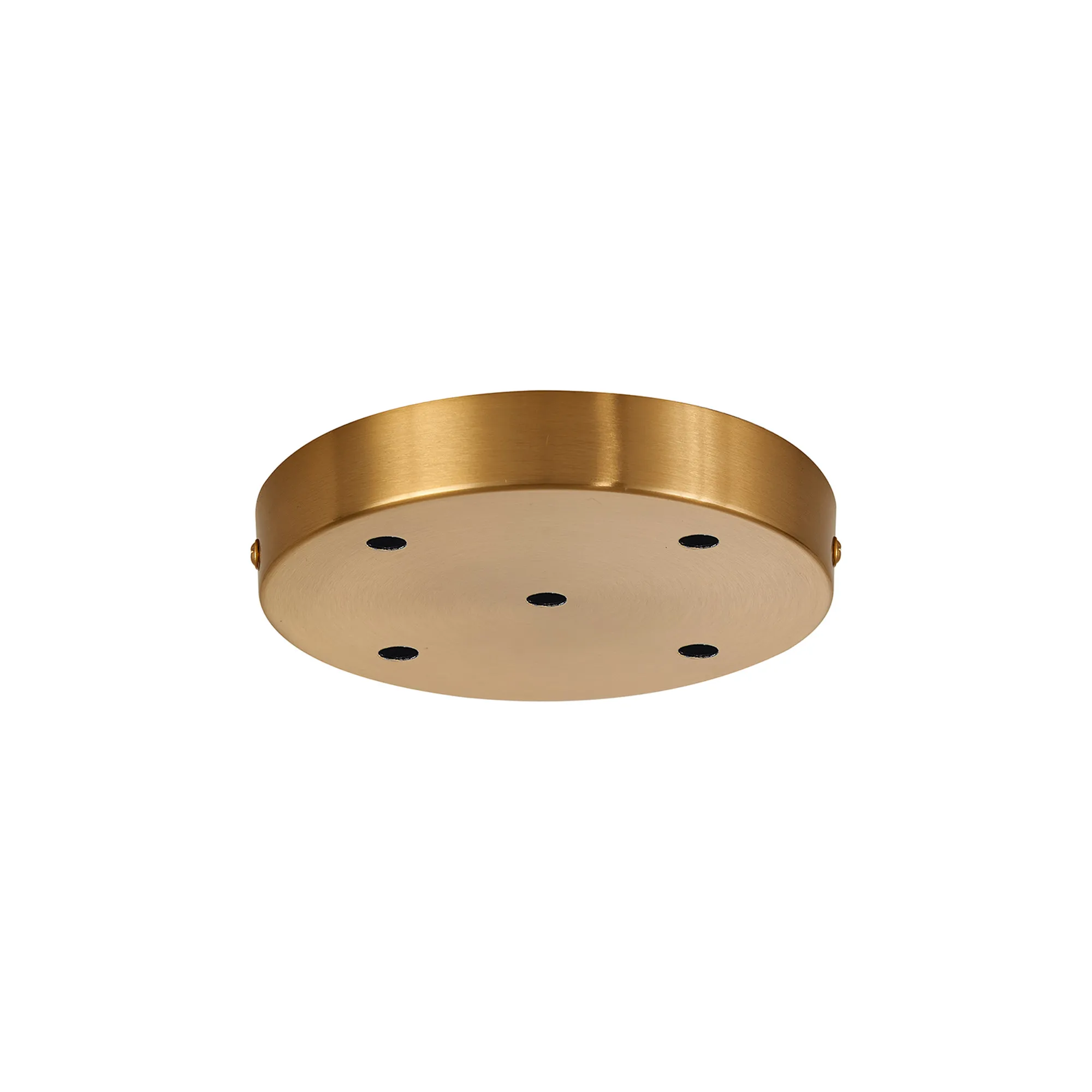 Hayes 5 Hole 15cm Round Ceiling Plate Brass